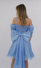 Rochie Venis cu detaliu funda la spate